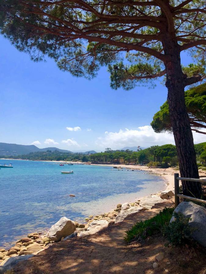 Marina Di Pinarello, Appt Climatise A 400m De La Apartment Zonza